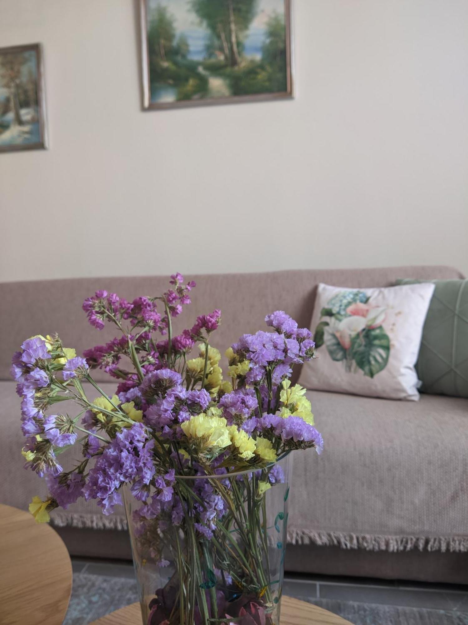 Aristo Central Apartments อิโออันนินา ภายนอก รูปภาพ